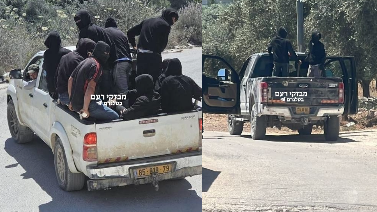שני טנדרים לבנים בכביש כפרי בשטחי השומרון, עמוסים בגברים לבושי שחור ורעולי פנים; ברקע עצי זית ושיחים.